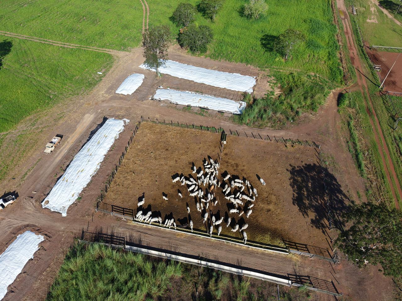 Consultoria em campo
